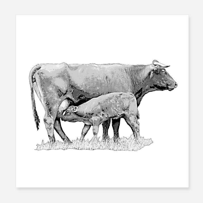 Don d’un fermier vache avec veau Poster 20 x 20 cm