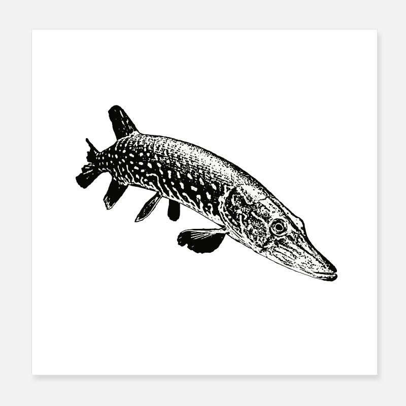Hecht Poster 20x20 cm