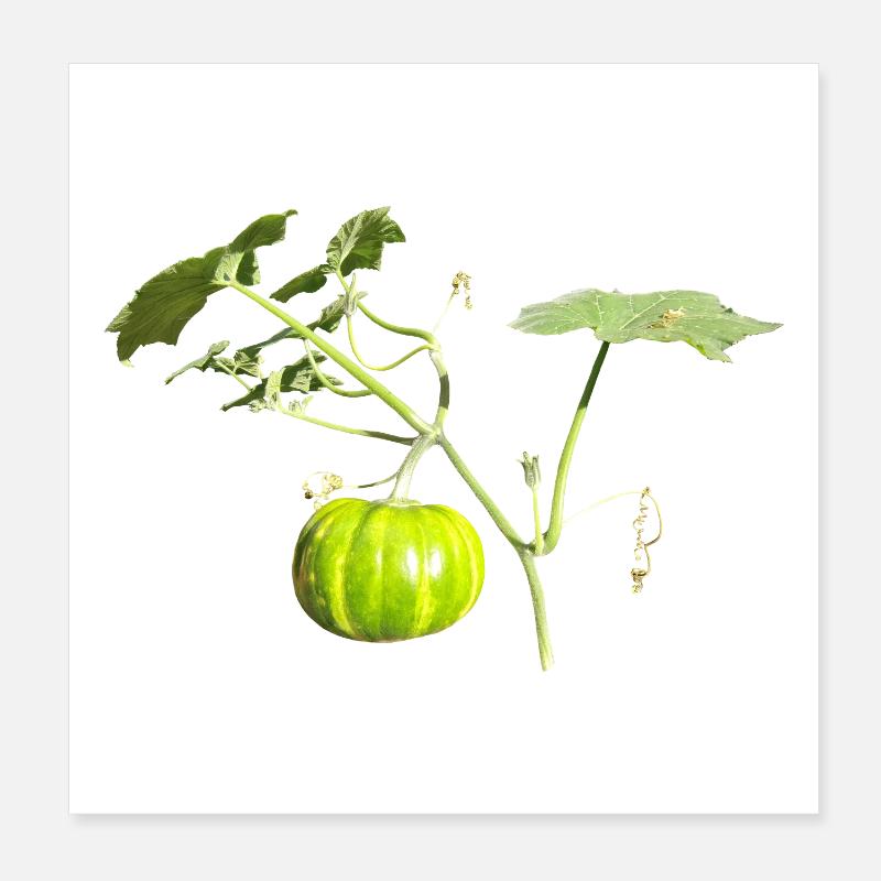 Citrouille Poster 20 x 20 cm