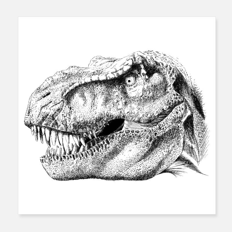 Dinosaur  Poster 20x20 cm