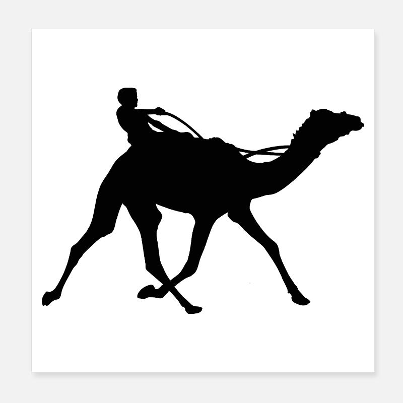 Course de chameaux Poster 20 x 20 cm