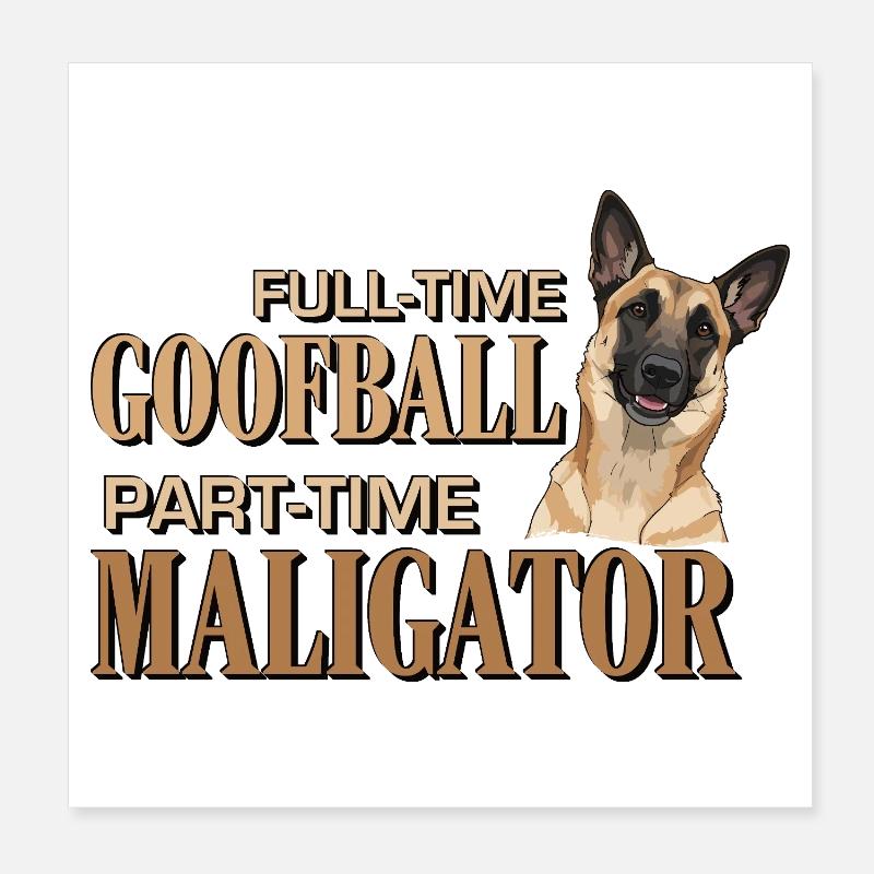 Belgian Malinois - Malalator Clown Poster 20 x 20 cm