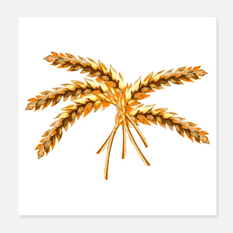 aehren landwirtschaft getreide - Poster 20x20 cm - Weiß