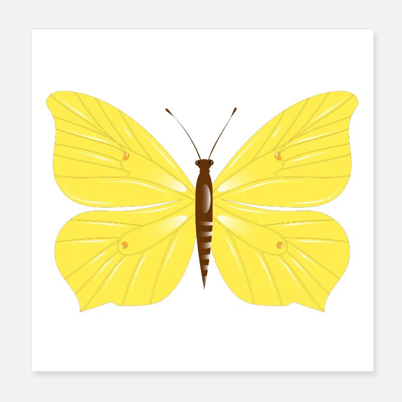 Papillon citron dessiné à la main Poster 20 x 20 cm