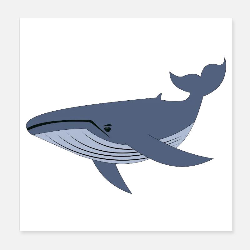 Baleine bleue, baleine Poster 20 x 20 cm