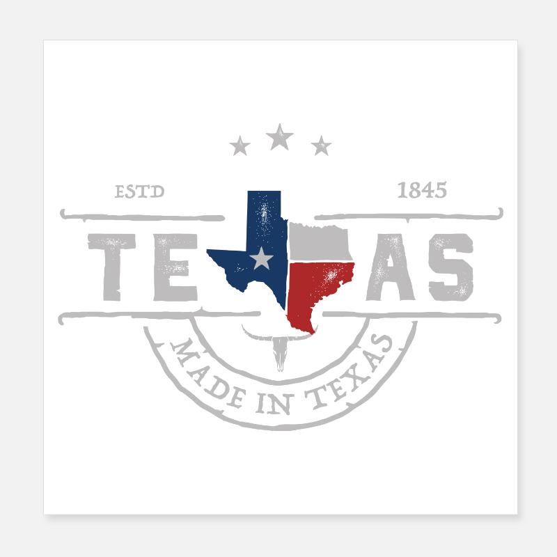 Texas Emblem Vintage State Pride Poster 20x20 cm