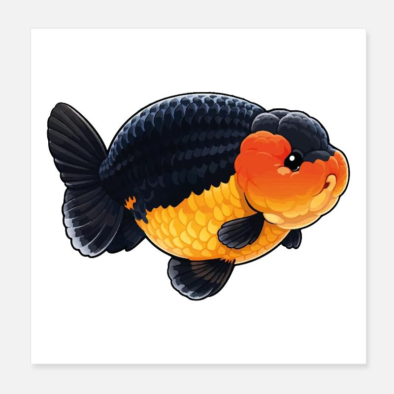 Black Orange Ranchu High Quality Goldfish Poster 8" x 8" (20x20 cm)