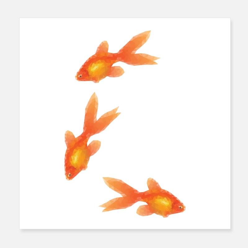 Poissons rouges Poster 20x20 cm