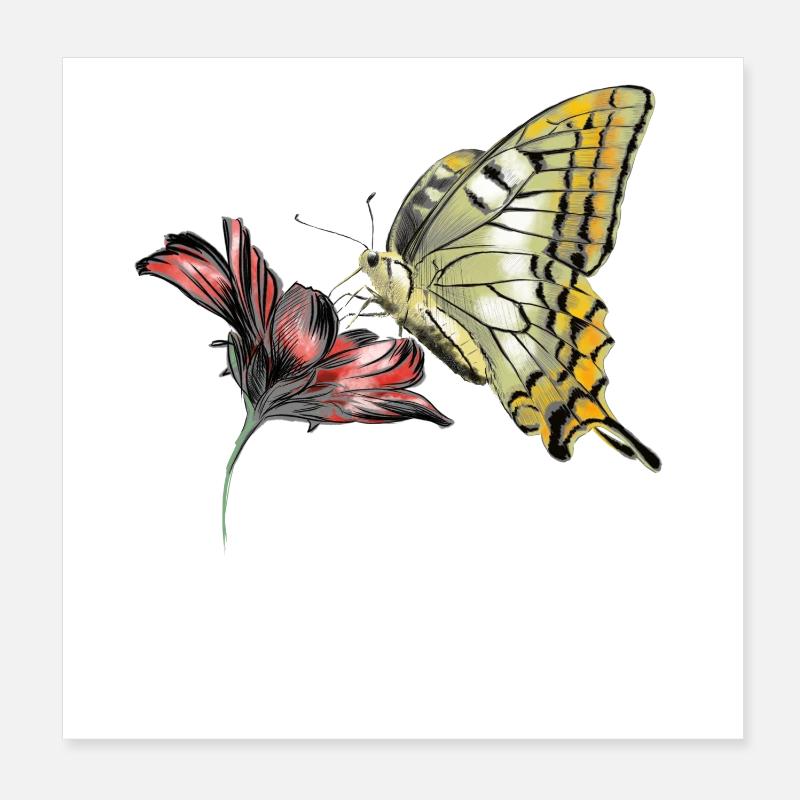 Butterfly Poster 20 x 20 cm