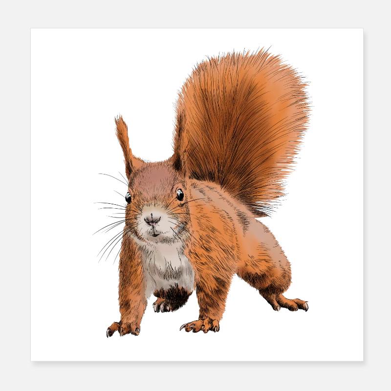 squirrel Poster 8" x 8" (20x20 cm)