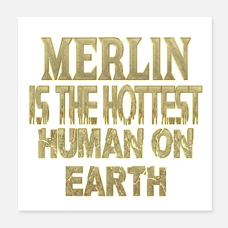 Merlin Poster 20 x 20 cm