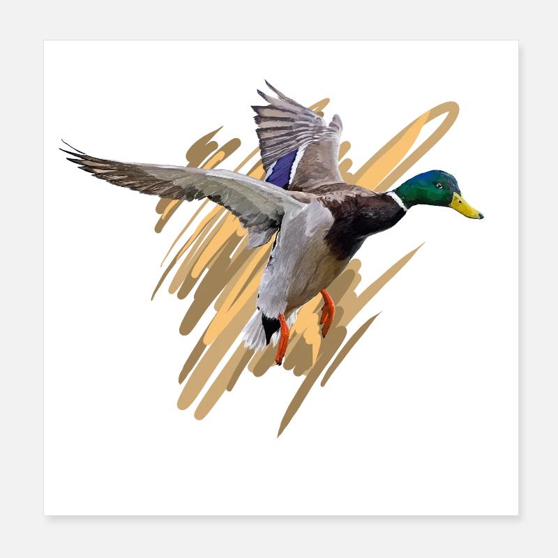 Duck Poster 20 x 20 cm