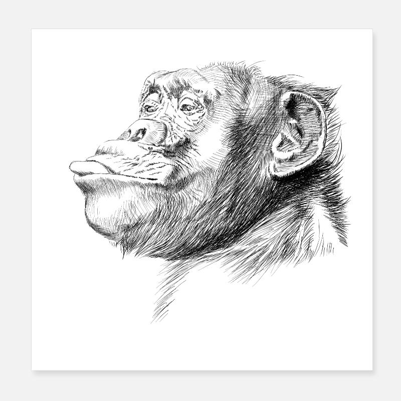 Monkey Poster 8" x 8" (20x20 cm)