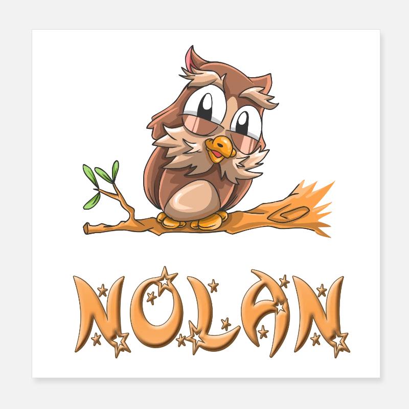 Eule Nolan Poster 20x20 cm