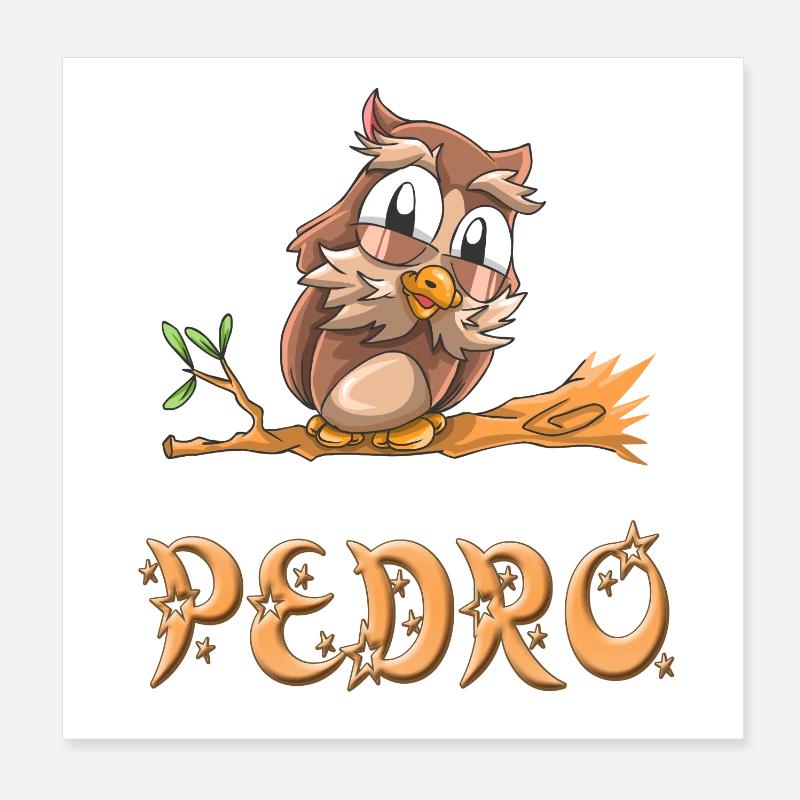 Eule Pedro Poster 20x20 cm