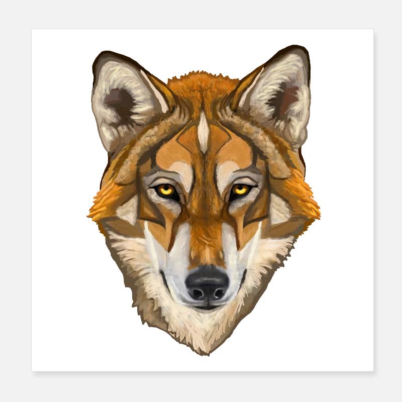 loup - Poster 20 x 20 cm - blanc