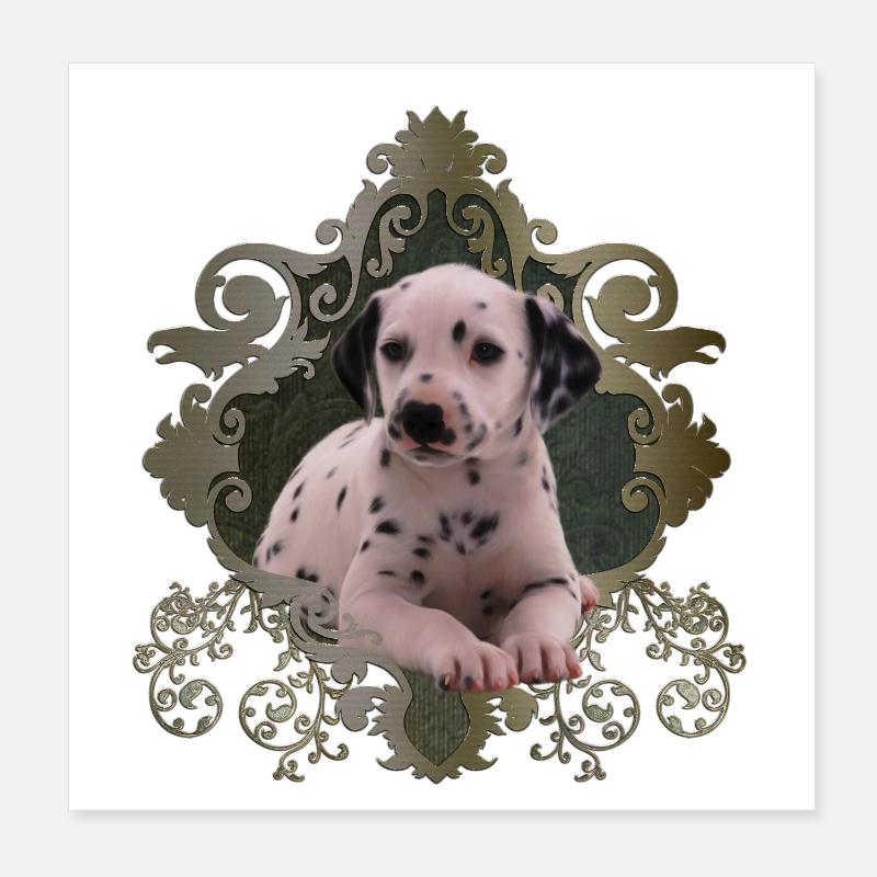 Netter Dalmatiner Poster 20x20 cm