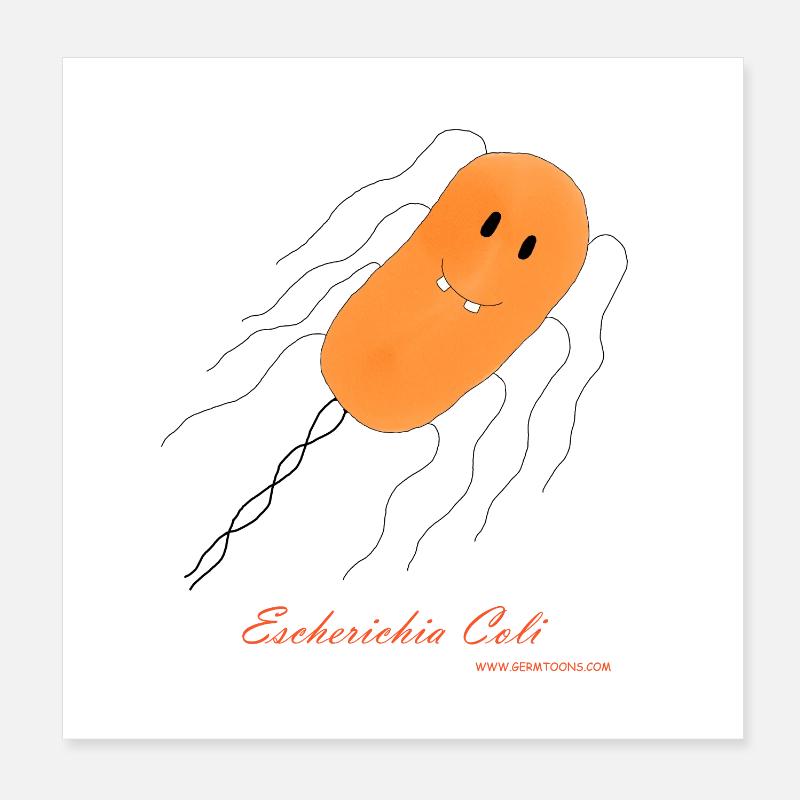 E. coli / Escherichia coli - bactérie - Poster 20 x 20 cm - blanc