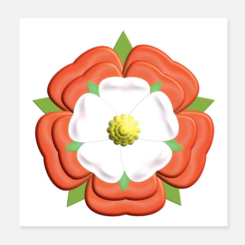 Tudor Rose - Poster 20x20 cm - Weiß