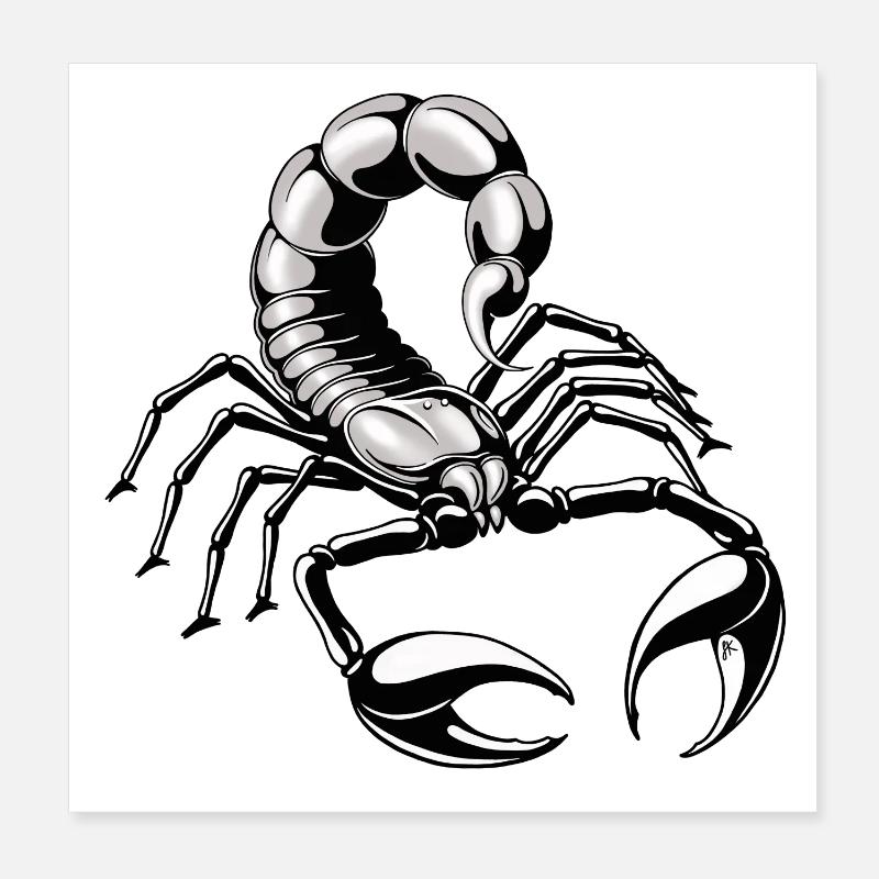 Skorpion - silber - grau - Poster 20x20 cm - Weiß