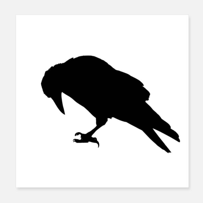 Rabe Poster 20x20 cm