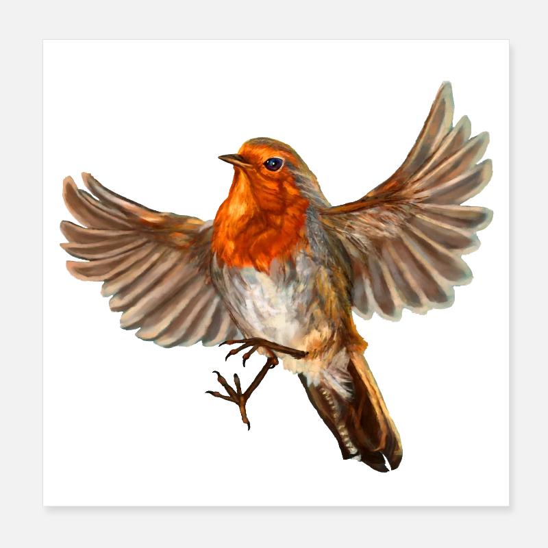 oiseau rouge-gorge - Poster 20 x 20 cm - blanc