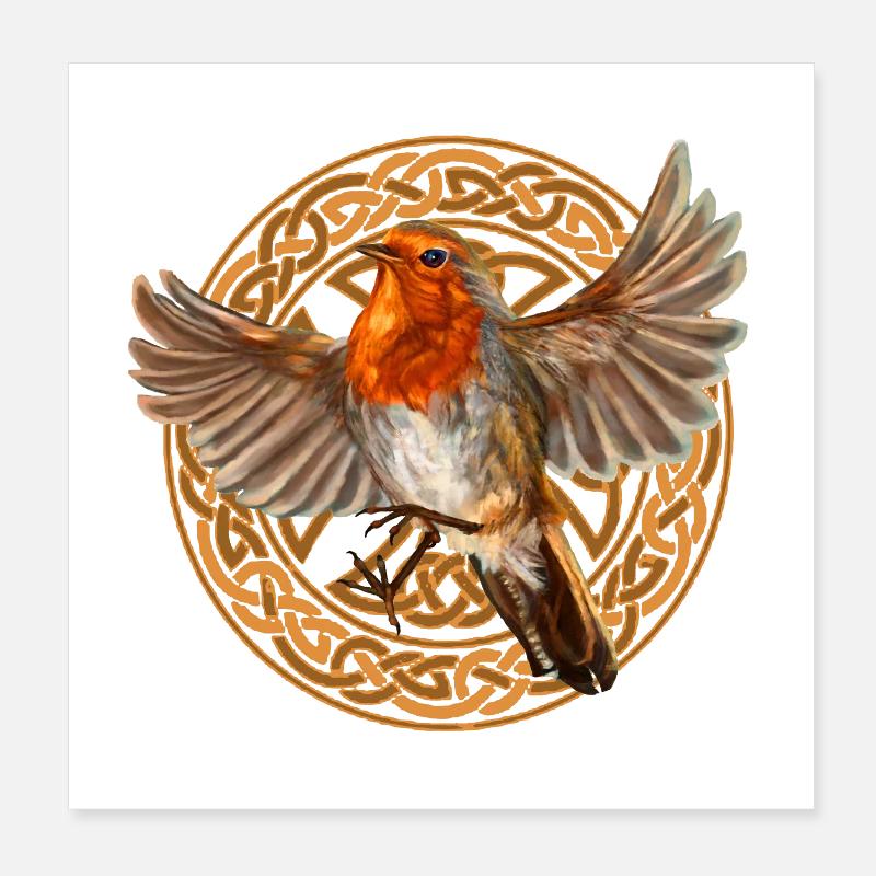 oiseau Rouge-gorge Poster 20 x 20 cm