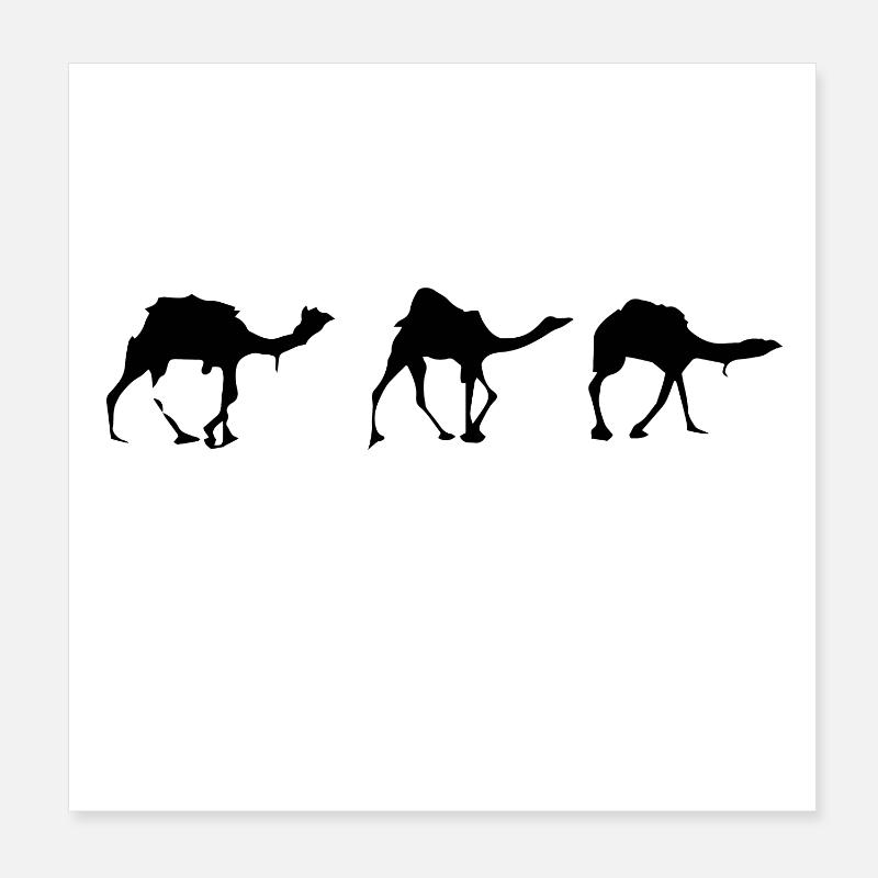 Camels Poster 8" x 8" (20x20 cm)