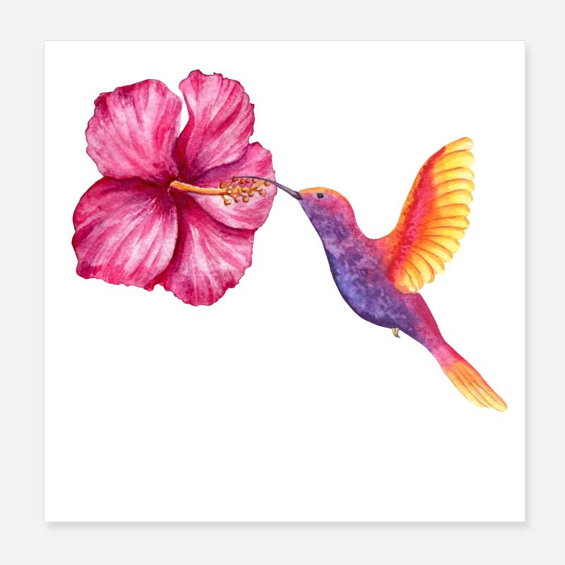 Colibri et Hibiscus en Aquarelle - Poster 20 x 20 cm - blanc