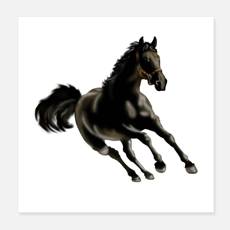 Pferd - Poster 20x20 cm - Weiß