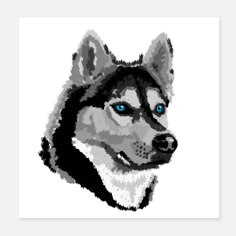 Husky - Poster 20 x 20 cm - blanc