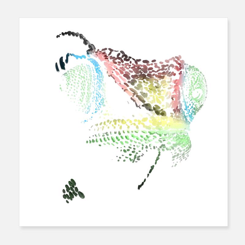 caméléon Poster 20 x 20 cm
