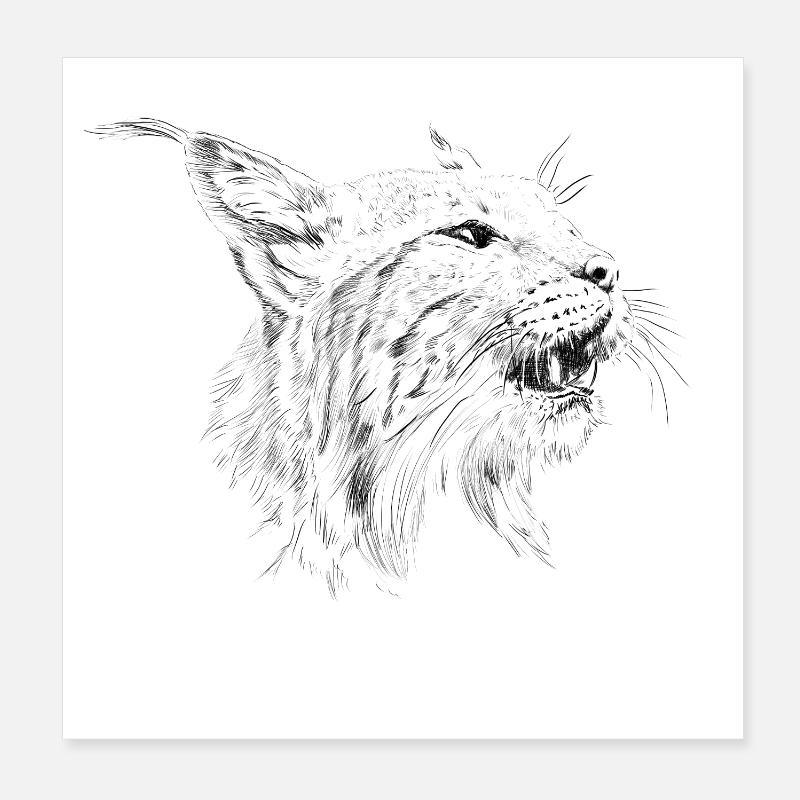 Luchs Poster 20x20 cm