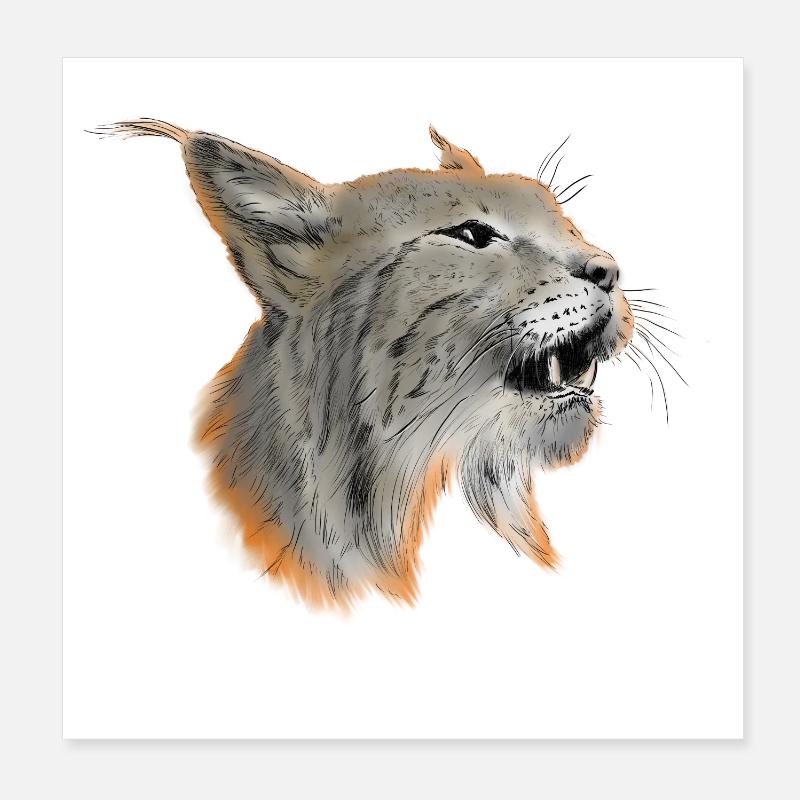 Luchs - Poster 20x20 cm - Weiß