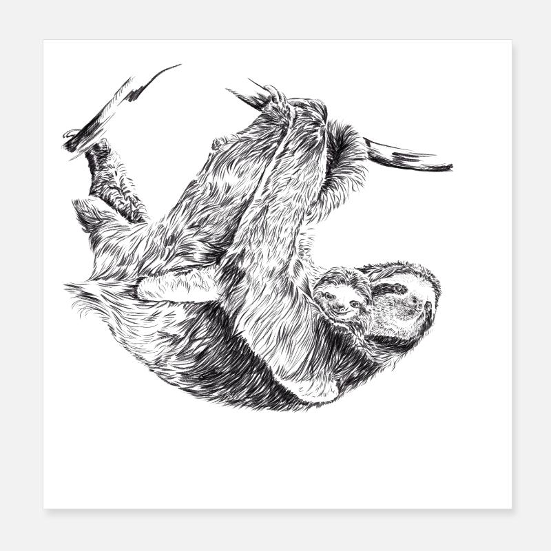 Faultier Poster 20x20 cm