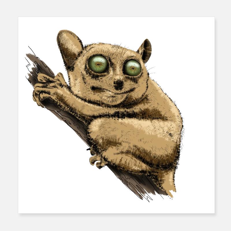 Koboldmaki Poster 20x20 cm