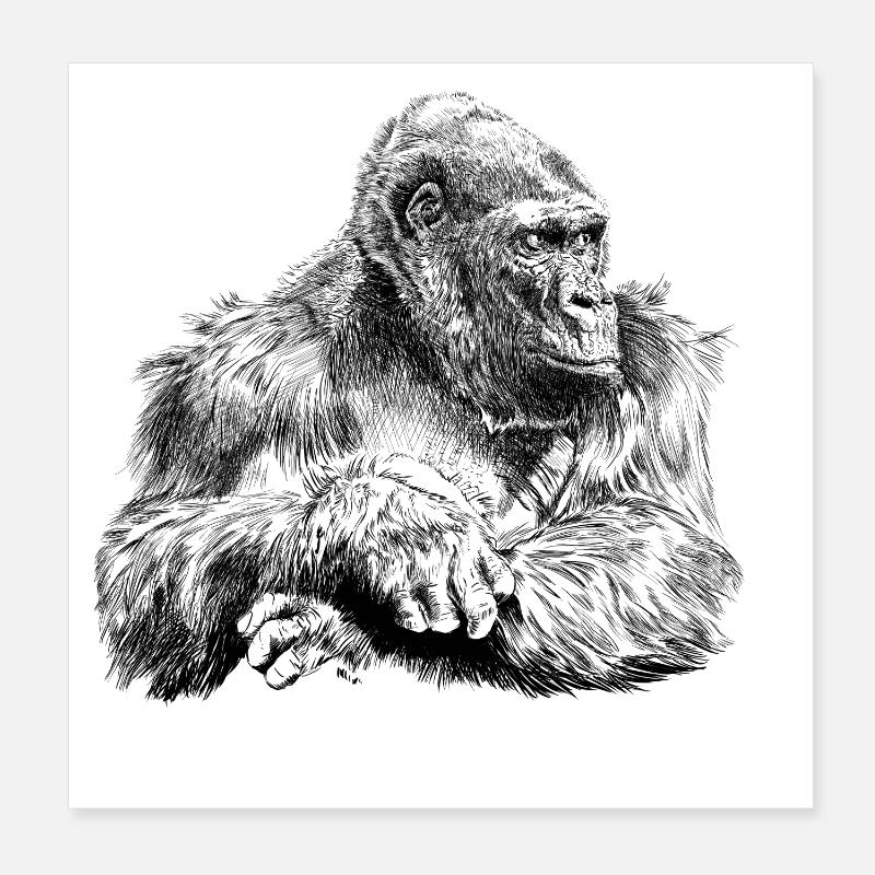 gorilla - Poster 20 x 20 cm - blanc