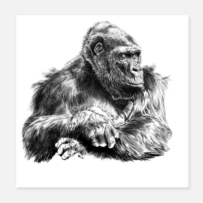 gorilla - Poster 20 x 20 cm - blanc