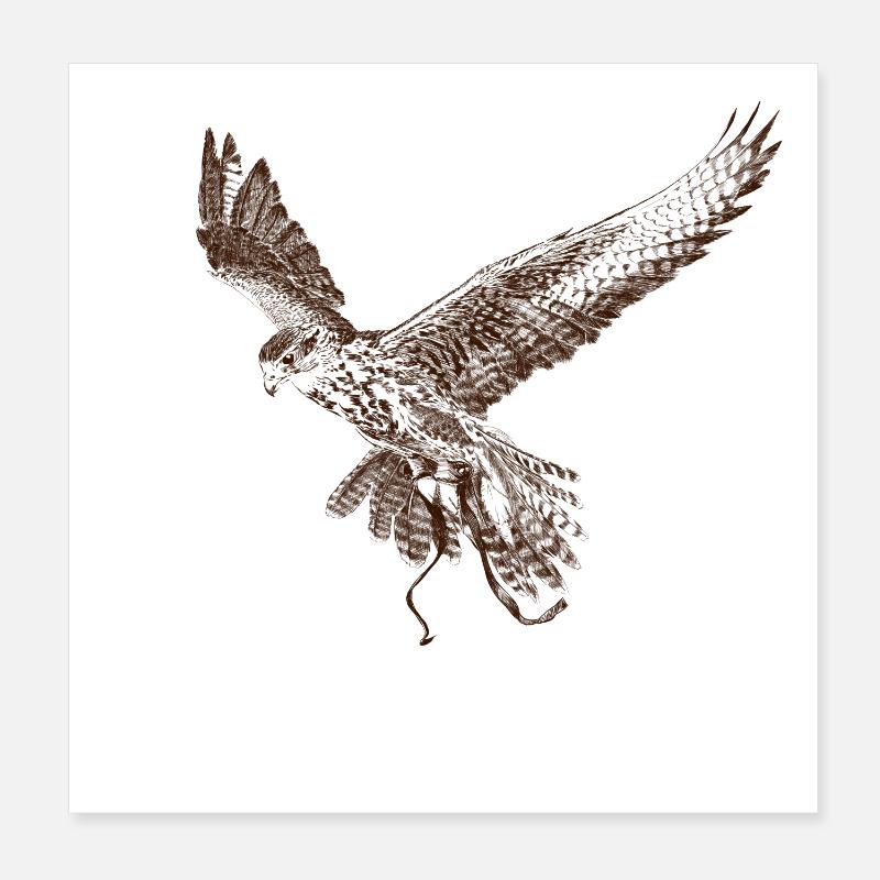 Falkon Poster 20 x 20 cm