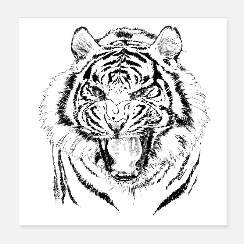 tiger Poster 20 x 20 cm