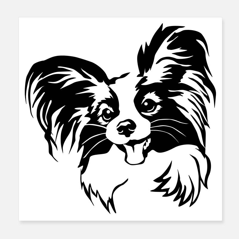 Papillon Kopf Poster 20x20 cm