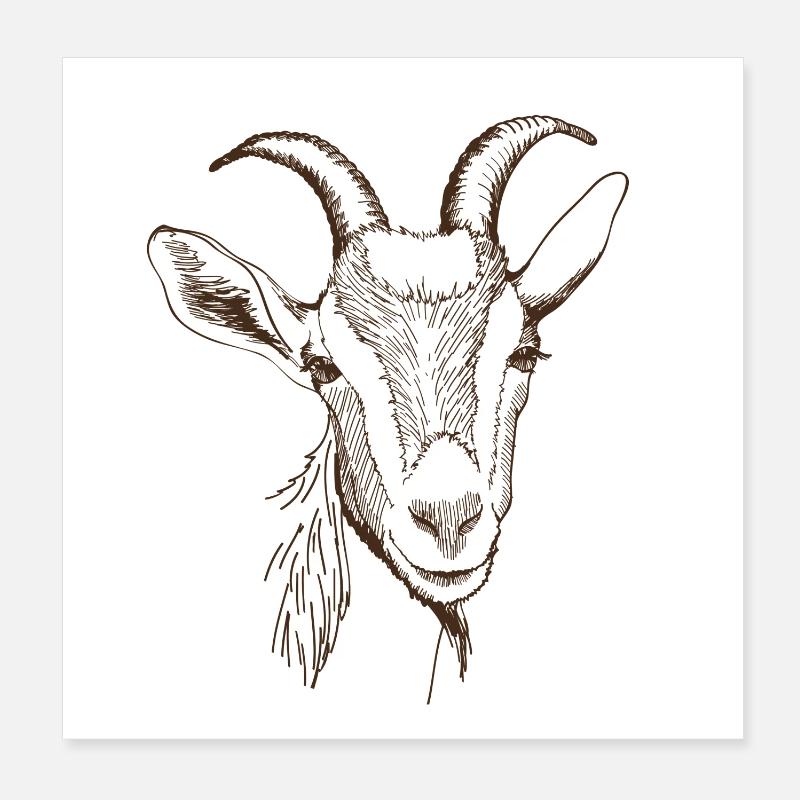 Goat Poster 8" x 8" (20x20 cm)