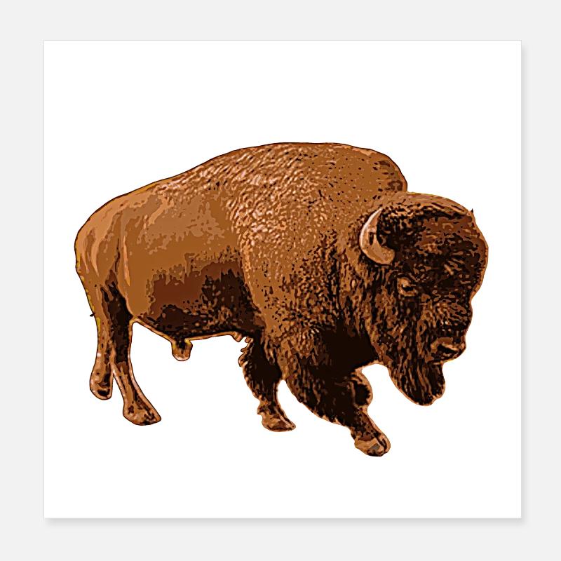 bison - Poster 20 x 20 cm - blanc