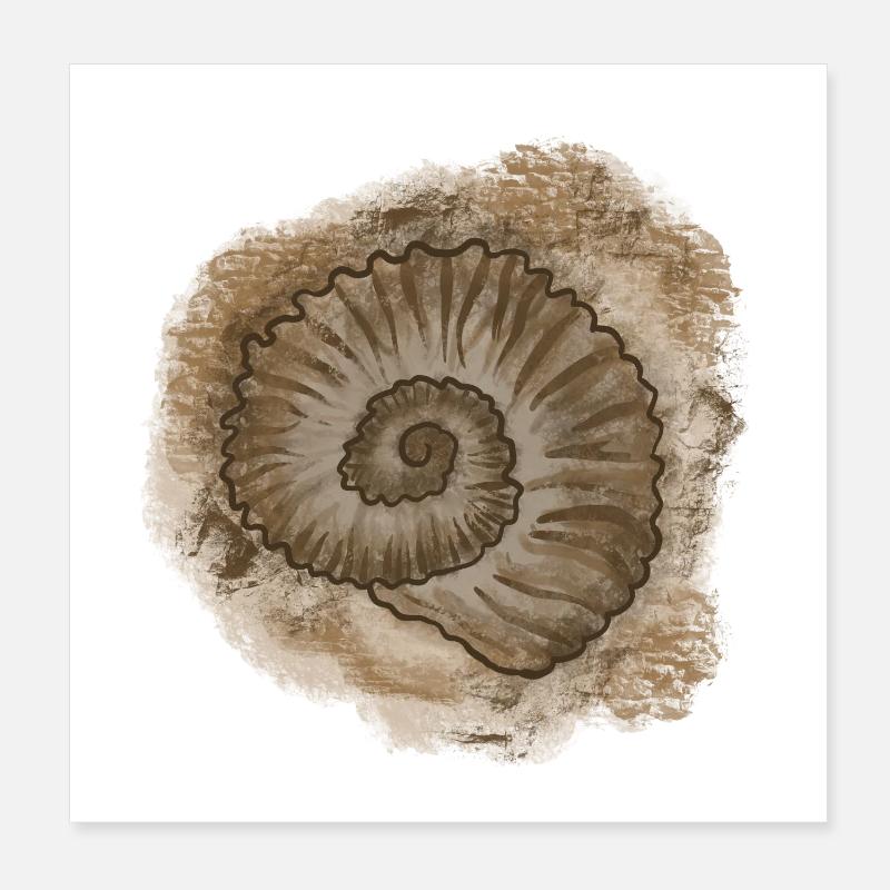 Antique Shell Illustration Poster 8" x 8" (20x20 cm)