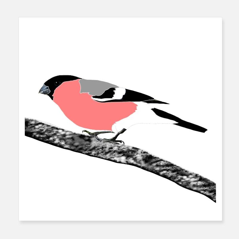 bouvreuil Poster 20 x 20 cm