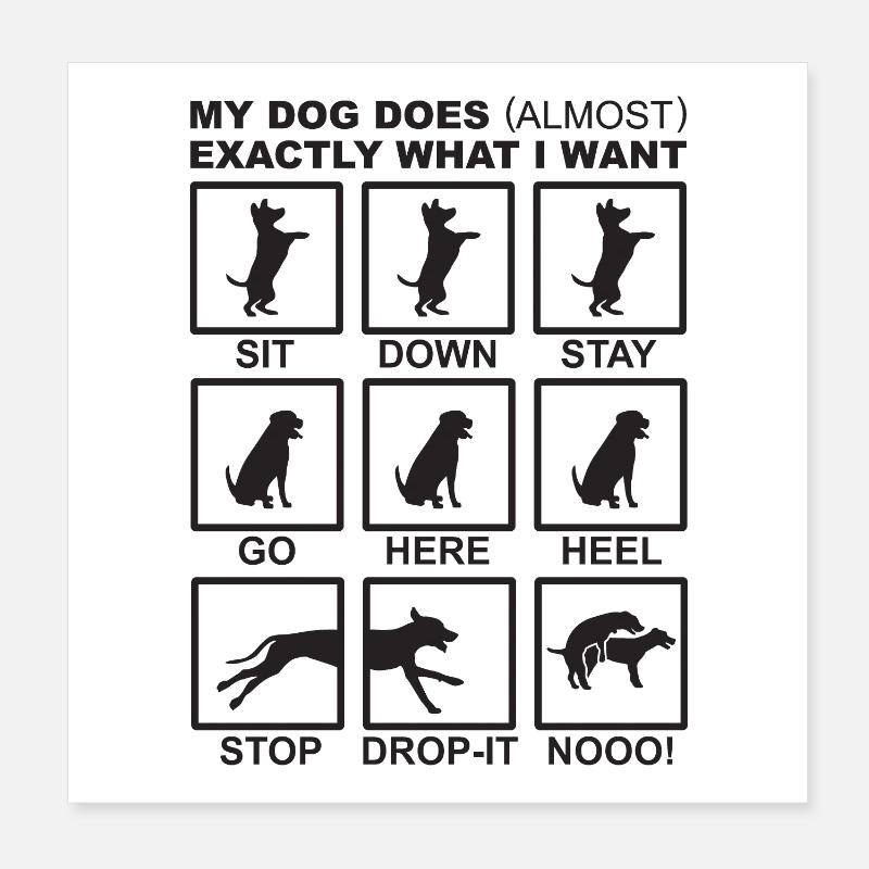 Hundebefehle Poster 20x20 cm