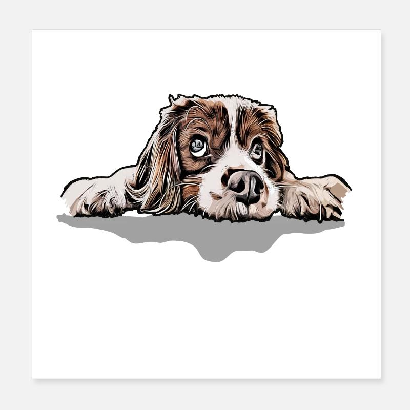 cavalier roi Charles Spaniel Poster 20 x 20 cm