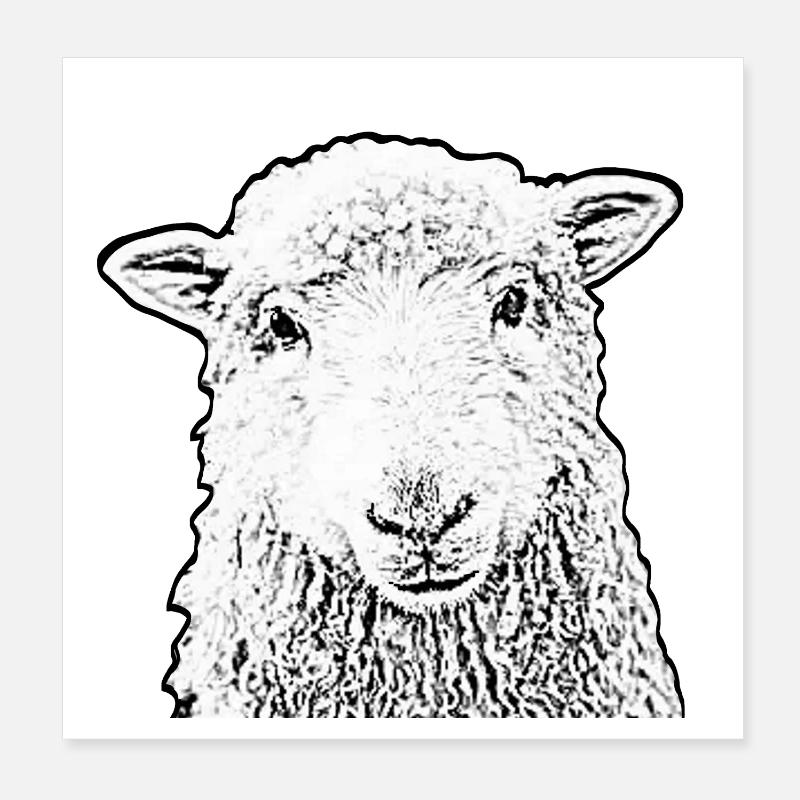 mouton Poster 20 x 20 cm