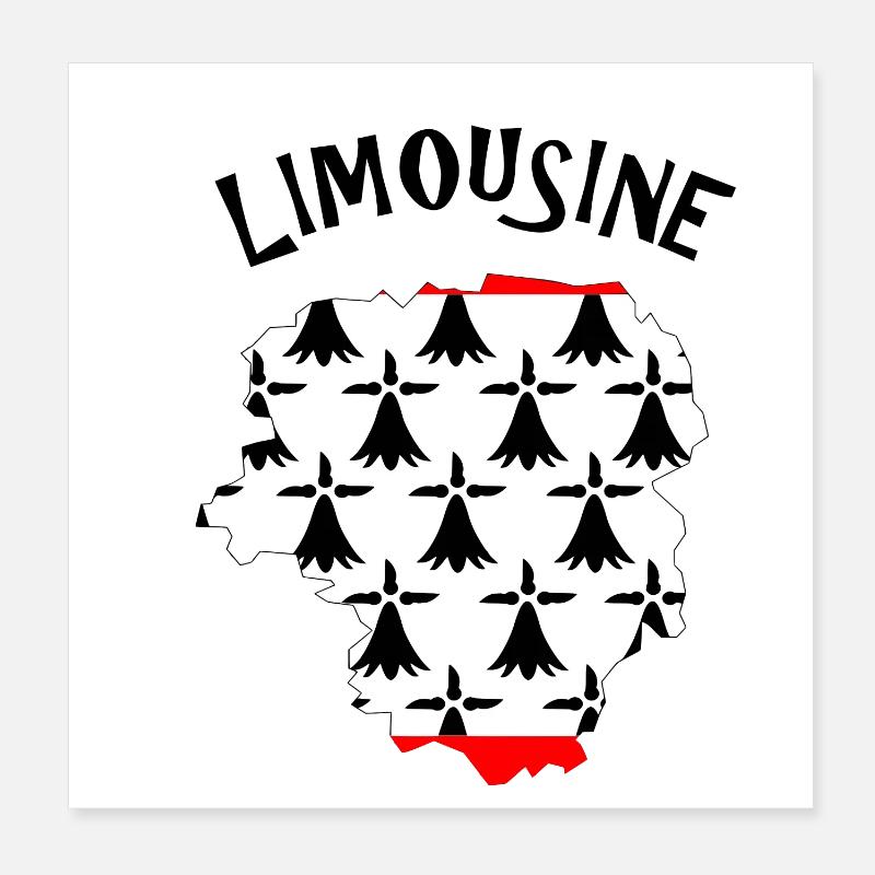 limousine Poster 20 x 20 cm