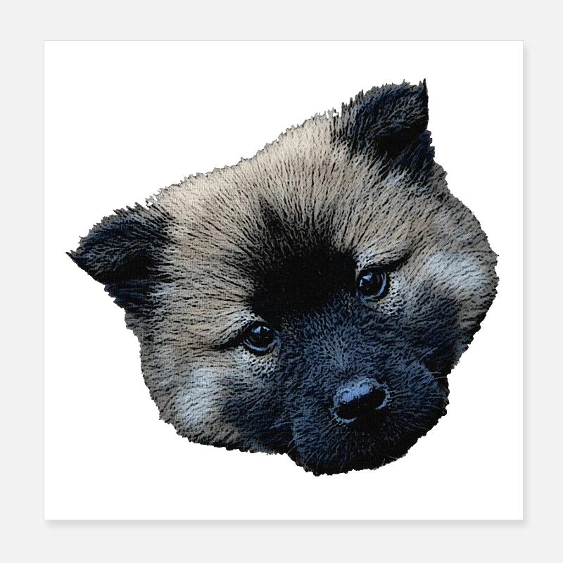 hündchen closing, eurasier welpe Poster 20x20 cm